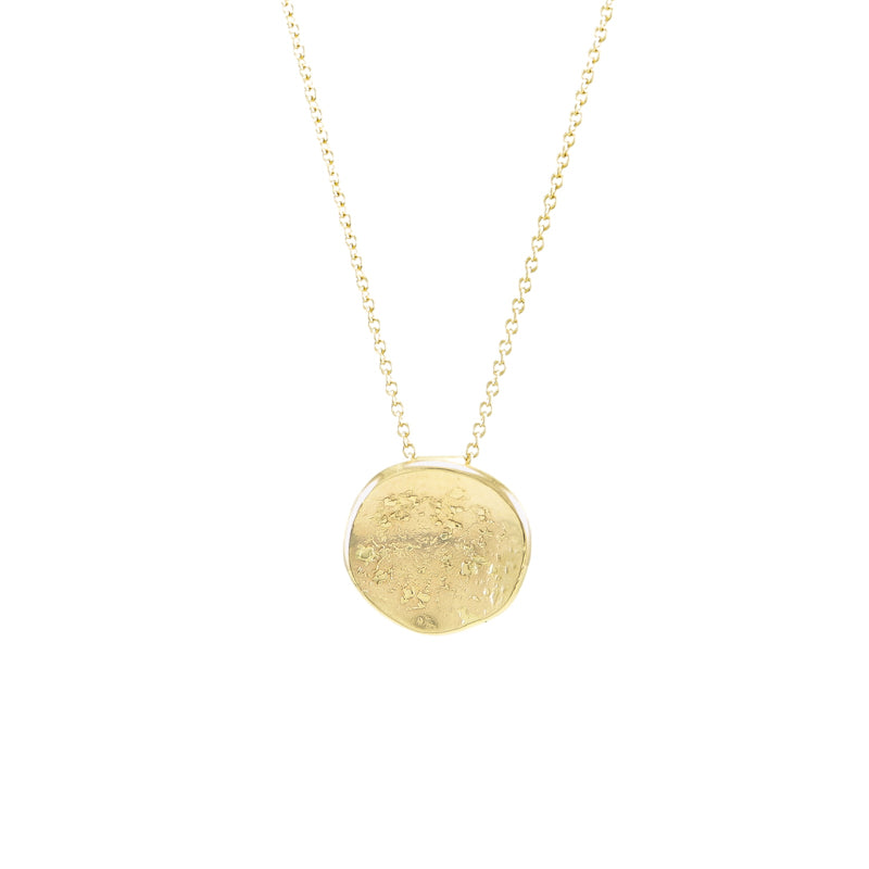 14K Gold Organic Disc Necklace - Hozoni Designs